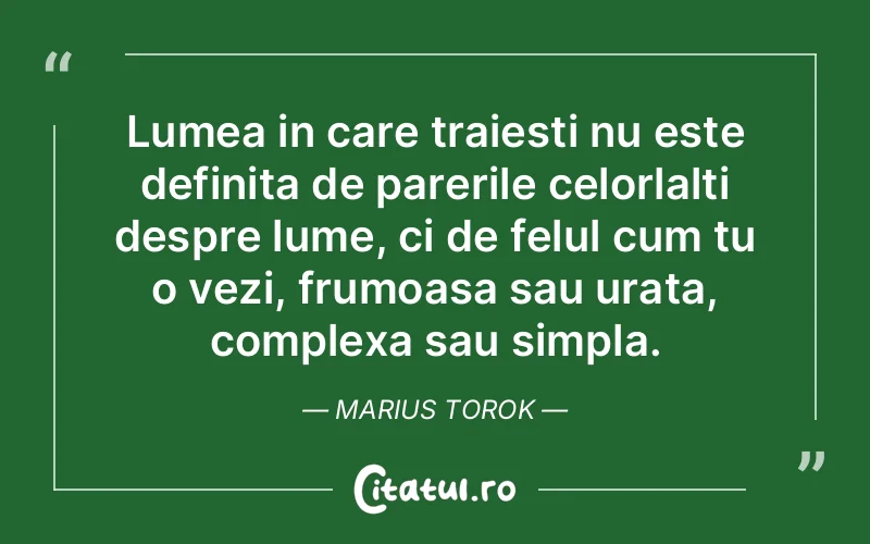 Citat Marius Torok - citate viata
