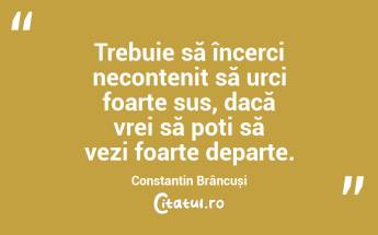 Trebuie să încerci necontenit să urci foarte sus, dacă vrei să poți să vezi foarte departe. Constantin Brâncuși...