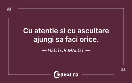 Nebunia o ajustare perfect rationala la ... Nebunia o ajustare perfect rationala la ...