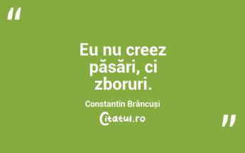 Eu nu creez păsări, ci zboruri. Constantin Brâncuși...