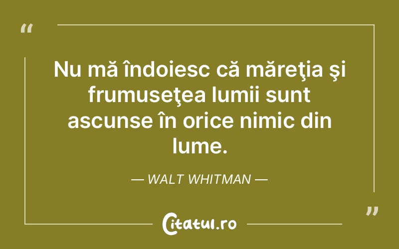 Citat Walt Whitman - citate viata