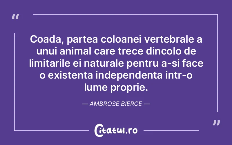 Citat Ambrose Bierce - citate viata