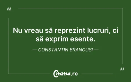 Nu vreau să reprezint lucruri, ci să e...
