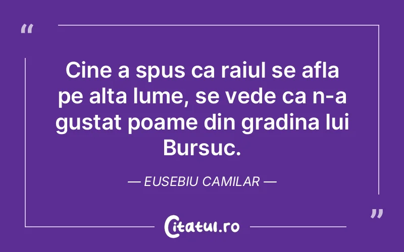 Citat Eusebiu Camilar - citate viata