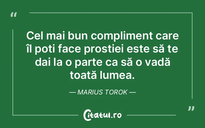 Citat Marius Torok - citate viata