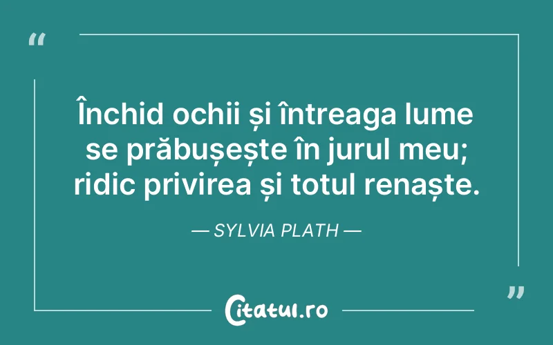 Citat Sylvia Plath - citate viata