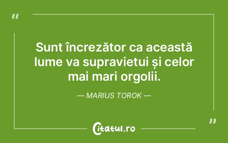 Citat Marius Torok - citate viata