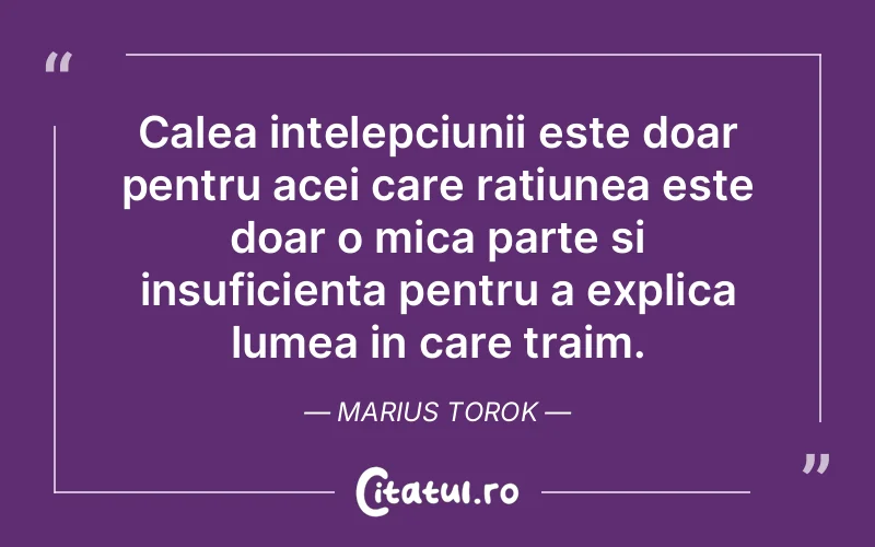 Citat Marius Torok - citate viata