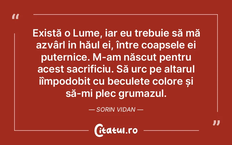 Citat Autor necunoscut - citate viata