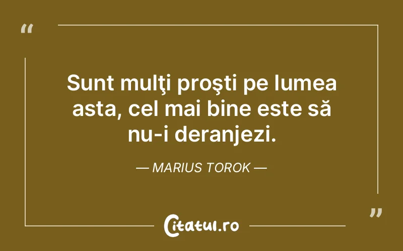 Citat Marius Torok - citate viata