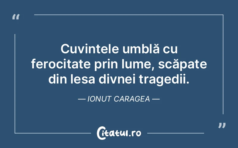 Citat Ionut Caragea - citate viata