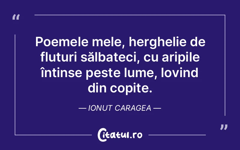 Citat Ionut Caragea - citate viata