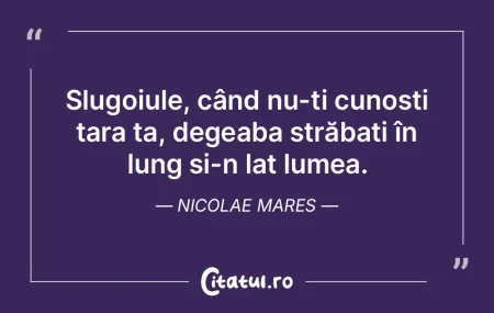 Sigur, învinșii n-au fost făcuți pen...