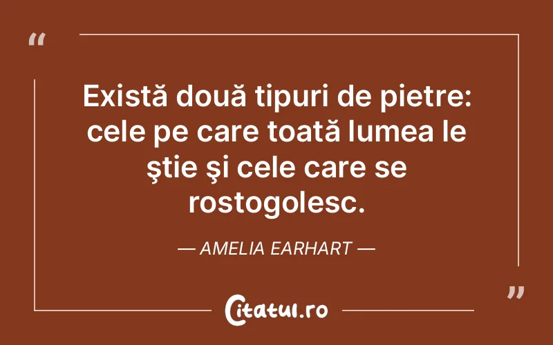 Citat Amelia Earhart - citate viata