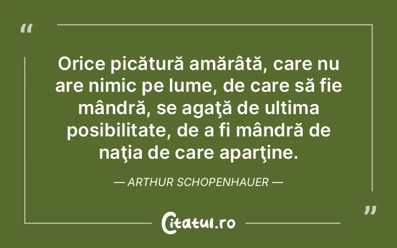 Citat Arthur Schopenhauer - citate viata