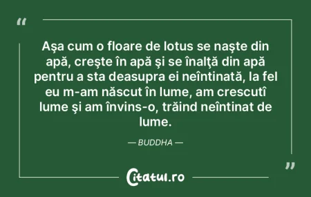 Lumea e compusă din două grupe mari: c...