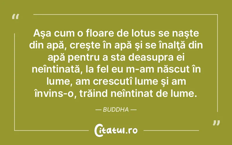 Citat Autor necunoscut - citate viata