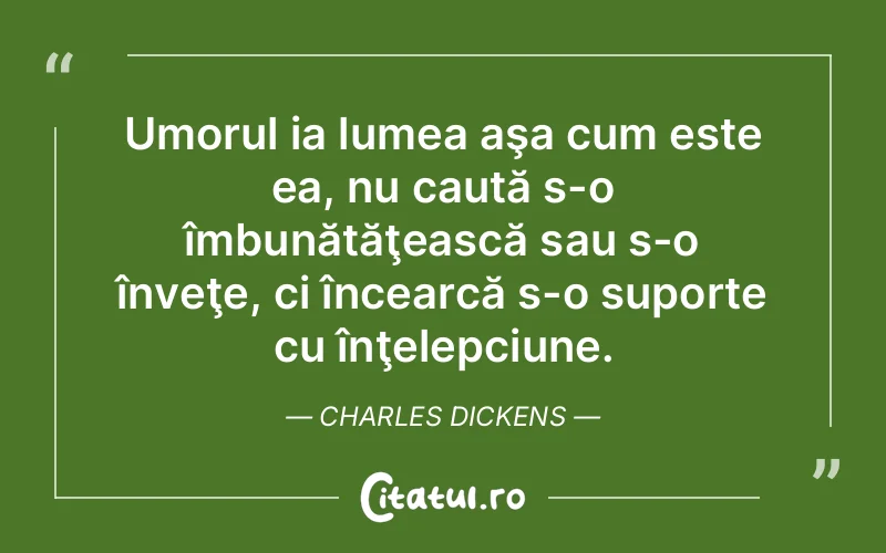 Citat Charles Dickens - citate viata