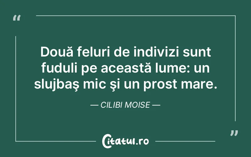 Citat Cilibi Moise - citate viata