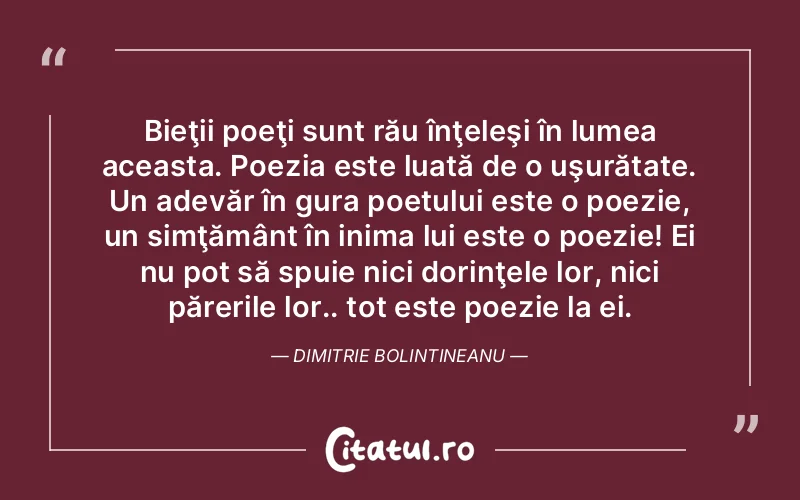 Bieţii poeţi sunt rău înţeleşi în lumea aceasta. Poezia este luată de o uşurătate. Un adevăr în gura poetului este o poezie, un simţământ în inima lui este o poezie! Ei nu pot să spuie nici dorinţele lor, nici părerile lor.. tot este poezie la ei. Dimitrie Bolintineanu