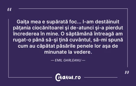 Ieri mi-am pierdut lumea. A găsit-o cin...