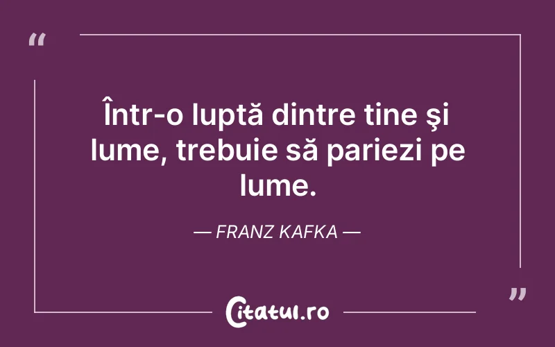 Citat Franz Kafka - citate viata