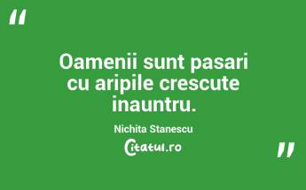 Oamenii sunt pasari cu aripile crescute inauntru. Nichita Stanescu...