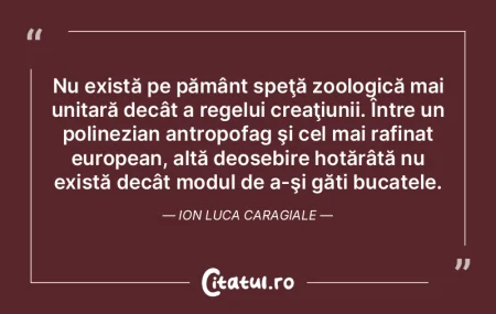 Ştii, era o vreme cînd invidiam muşte... Ştii, era o vreme cînd invidiam muşte...