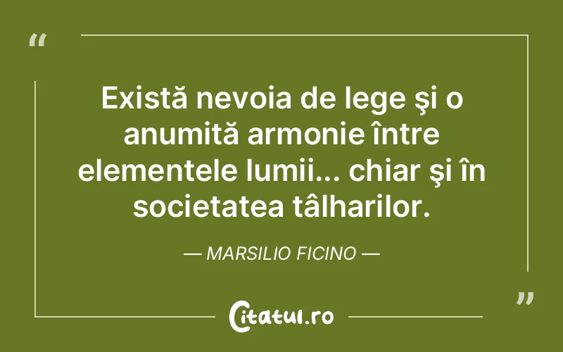 Citat Marsilio Ficino - citate viata