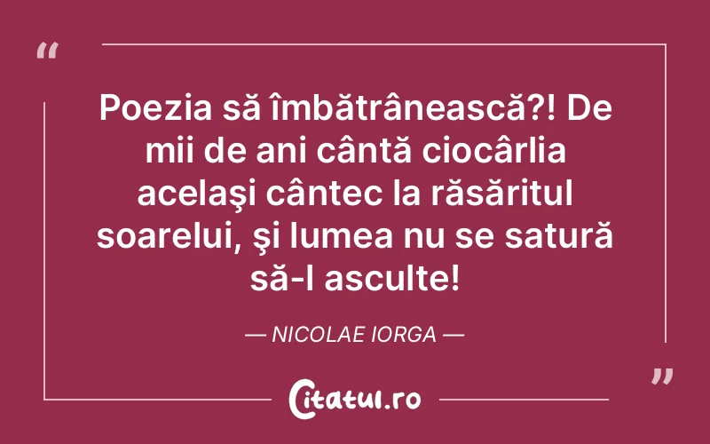 Citat Nicolae Iorga - citate viata