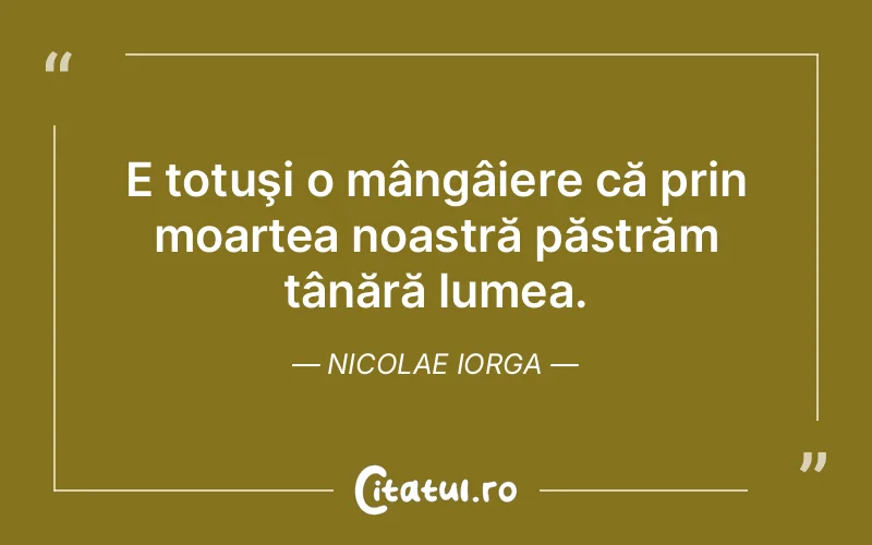 Citat Nicolae Iorga - citate viata