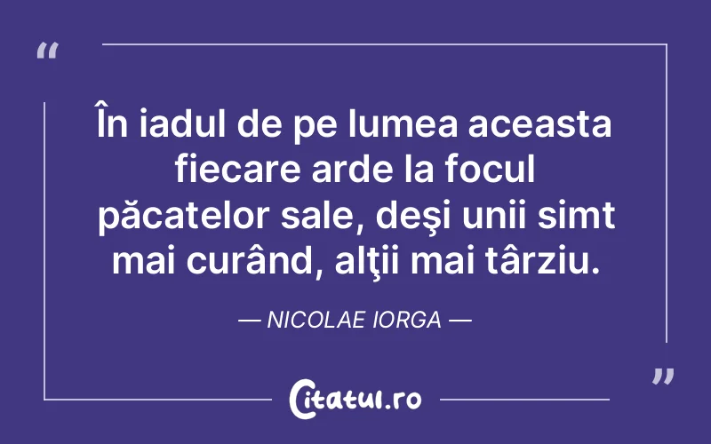 Citat Nicolae Iorga - citate viata