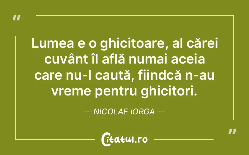 Citat Nicolae Iorga - citate viata