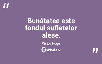 Bunătatea este fondul sufletelor alese. Victor Hugo...