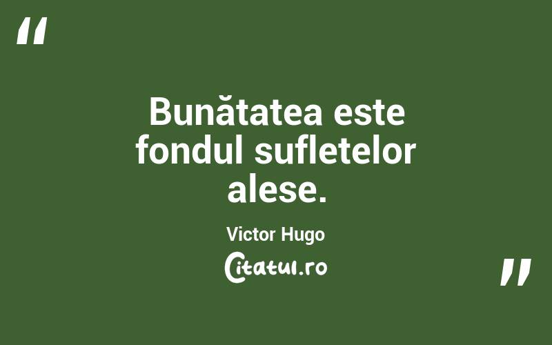 Bunătatea este fondul sufletelor alese. Victor Hugo
