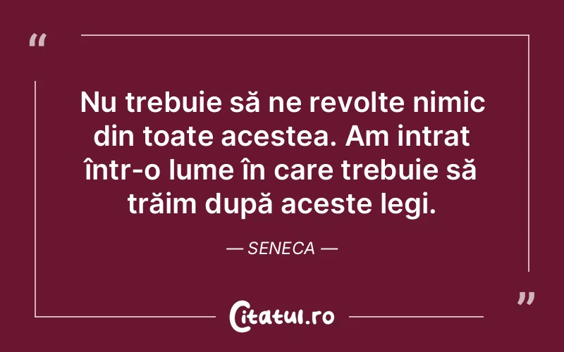 Citat Seneca - citate viata