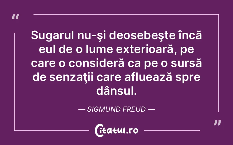 Citat Sigmund Freud - citate viata