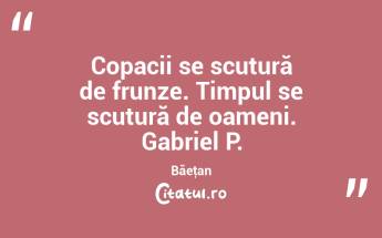 Copacii se scutură de frunze. Timpul se scutură de oameni. Gabriel P. Băeţan...