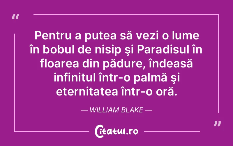 Citat William Blake - citate viata
