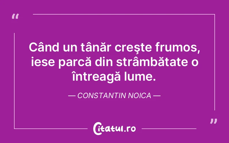 Citat Constantin Noica - citate viata