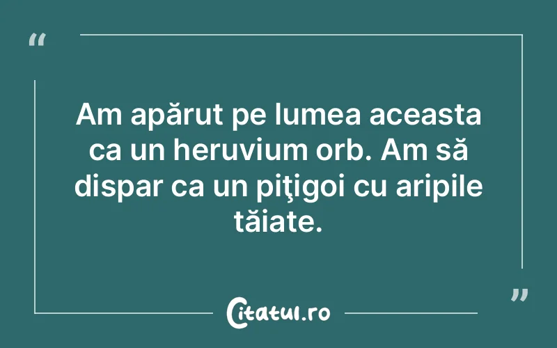 Citat Autor necunoscut - citate viata