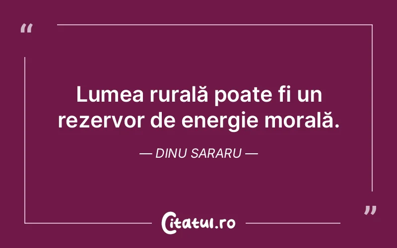 Citat Dinu Sararu - citate viata