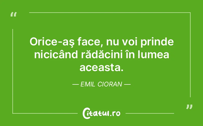 Citat Emil Cioran - citate viata
