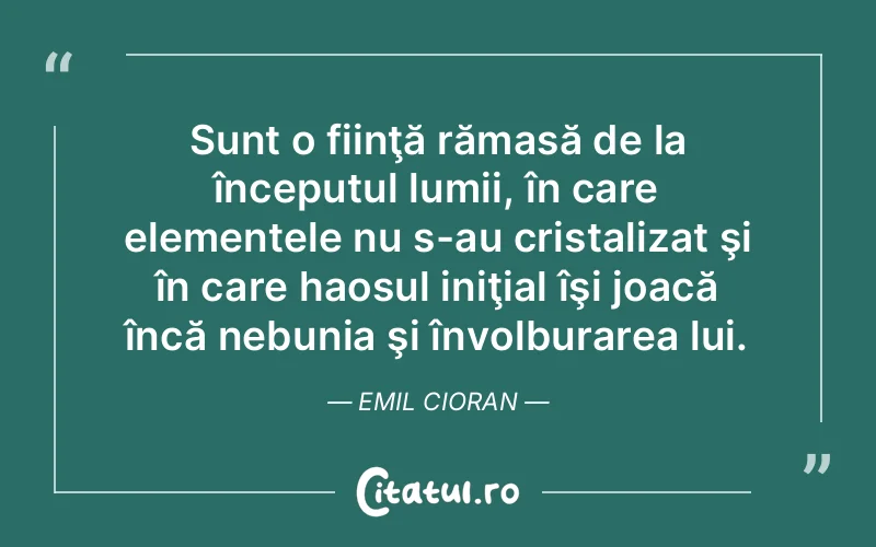 Citat Emil Cioran - citate viata