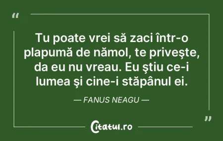 Dintr-un cinematograf am plecat să vin ...