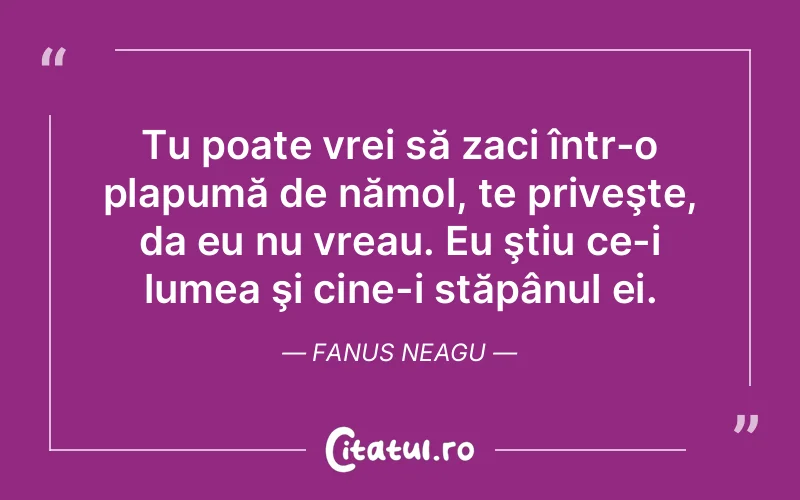 Citat Fanus Neagu - citate viata