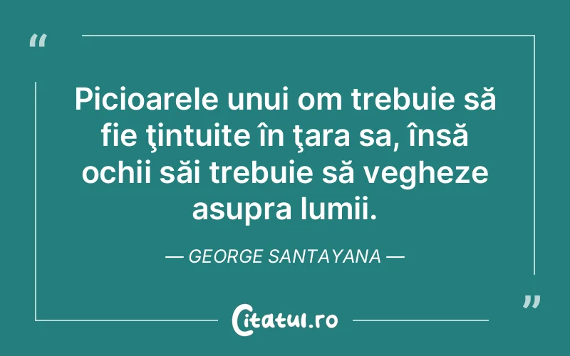 Citat George Santayana - citate viata