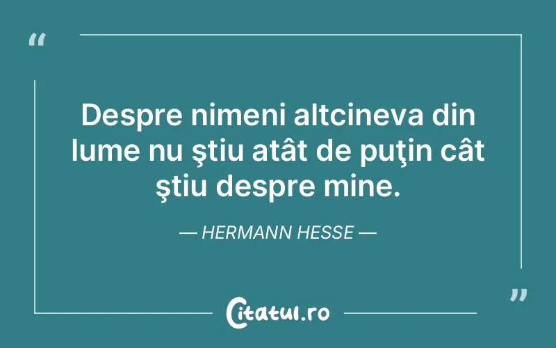 Citat Hermann Hesse - citate viata