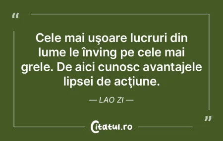 Ultimul refugiu al insomniacului este se...