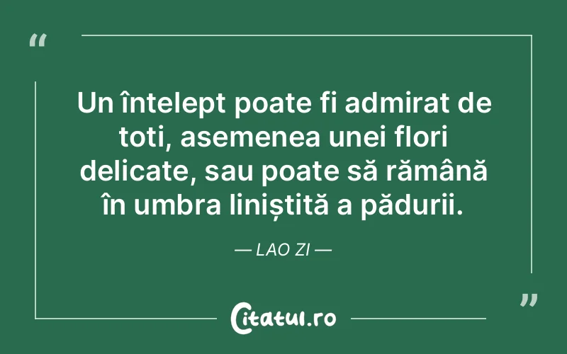 Citat Lao Zi - citate viata